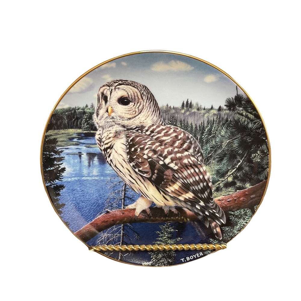 Plate Number: AA355Y - Limited Edition - The majesty of Owls